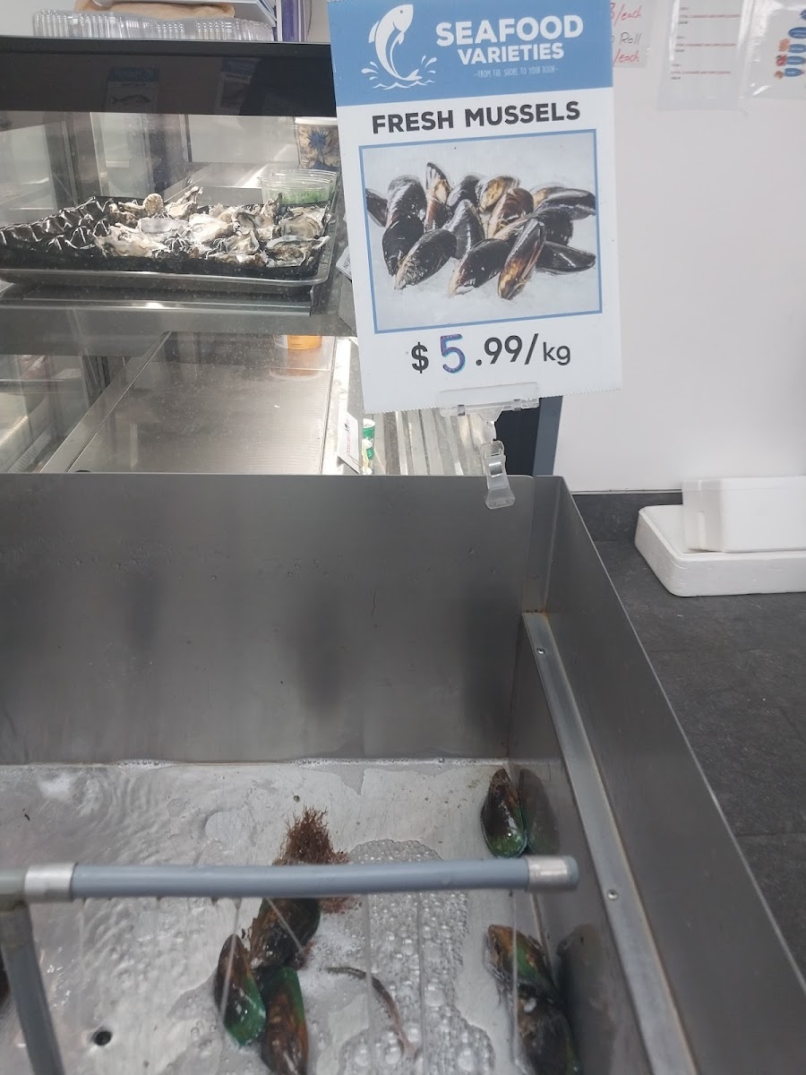 Blockhouse Bay Fisheries